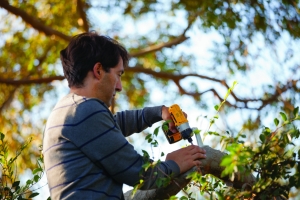 Netgear Arlo IP-Überwachungskamera-System