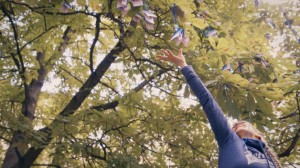 O2 Money-Tree