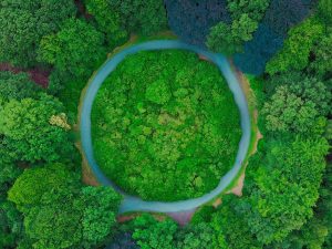 Circular Abo-Dienst